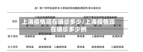 上海疫情现在确诊多少/上海疫情现在确诊多少例