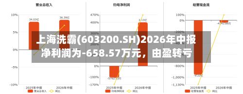 上海洗霸(603200.SH)2026年中报净利润为-658.57万元，由盈转亏-第2张图片