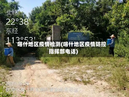 喀什地区疫情检测(喀什地区疫情防控指挥部电话)-第2张图片