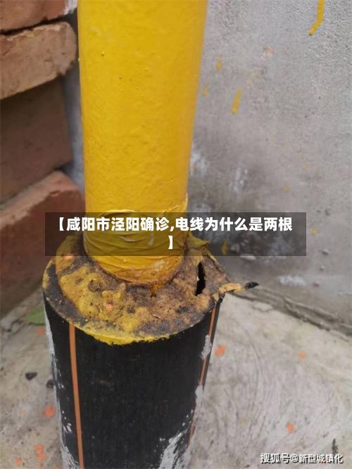 【咸阳市泾阳确诊,电线为什么是两根】-第3张图片