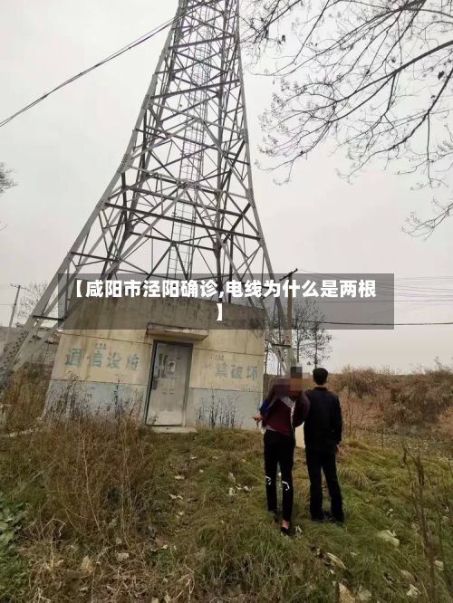【咸阳市泾阳确诊,电线为什么是两根】-第2张图片