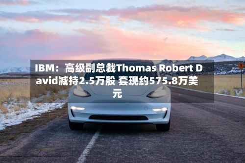 IBM：高级副总裁Thomas Robert David减持2.5万股 套现约575.8万美元-第3张图片