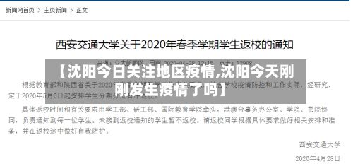 【沈阳今日关注地区疫情,沈阳今天刚刚发生疫情了吗】-第2张图片
