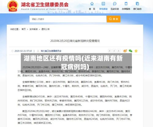 湖南地区还有疫情吗(近来湖南有新冠病例吗)-第3张图片