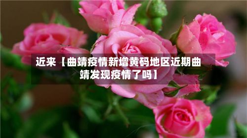 近来【曲靖疫情新增黄码地区近期曲靖发现疫情了吗】