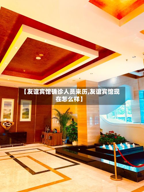 【友谊宾馆确诊人员来历,友谊宾馆现在怎么样】-第2张图片
