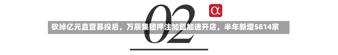 砍掉亿元直营募投后，万辰集团押注加盟加速开店，半年新增5814家