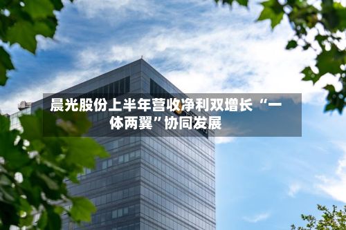 晨光股份上半年营收净利双增长 “一体两翼”协同发展-第2张图片