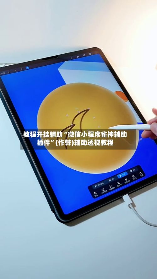 教程开挂辅助“微信小程序雀神辅助插件”(作弊)辅助透视教程-第3张图片