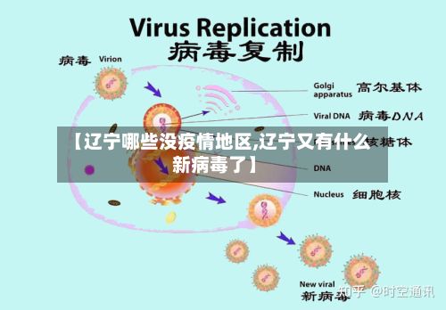 【辽宁哪些没疫情地区,辽宁又有什么新病毒了】-第1张图片