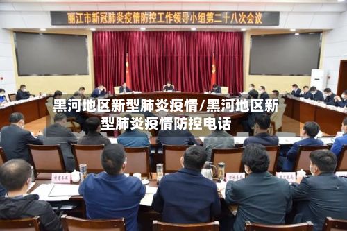 黑河地区新型肺炎疫情/黑河地区新型肺炎疫情防控 *** 