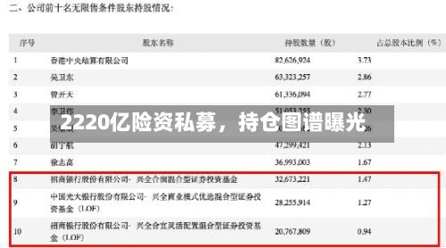 2220亿险资私募，持仓图谱曝光-第2张图片