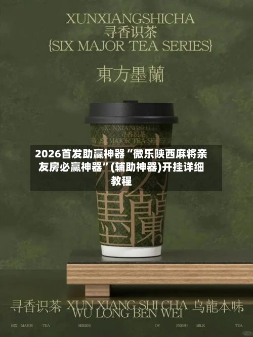 2026首发助赢神器“微乐陕西麻将亲友房必赢神器”(辅助神器)开挂详细教程