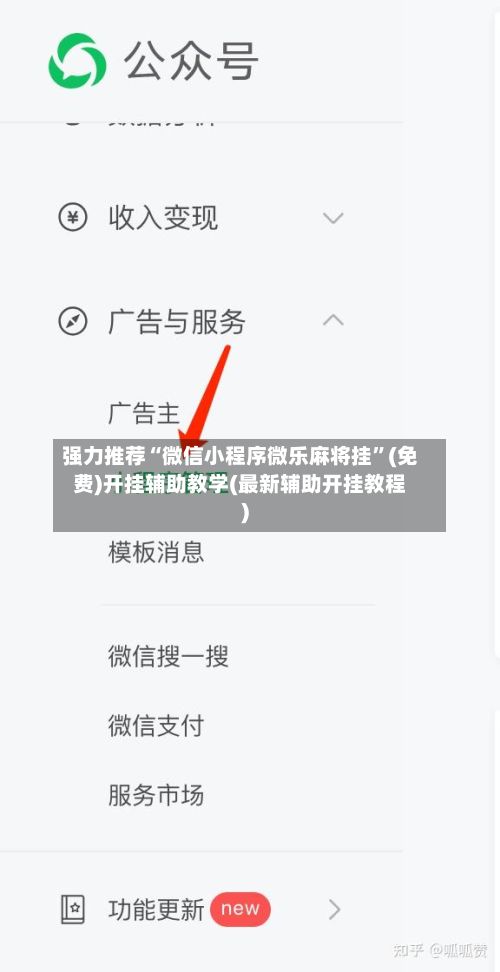 强力推荐“微信小程序微乐麻将挂”(免费)开挂辅助教学(最新辅助开挂教程)-第3张图片