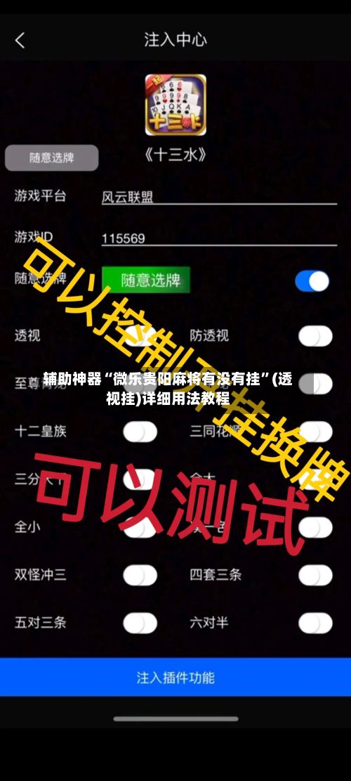 辅助神器“微乐贵阳麻将有没有挂”(透视挂)详细用法教程