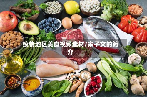 疫情地区美食视频素材/宋子文的简介-第2张图片