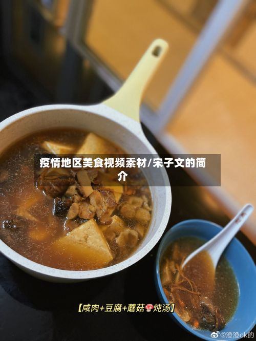 疫情地区美食视频素材/宋子文的简介-第1张图片
