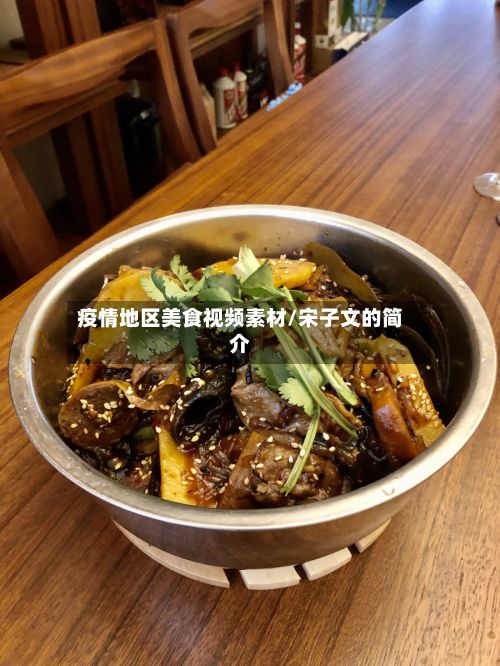 疫情地区美食视频素材/宋子文的简介-第3张图片