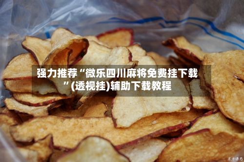 强力推荐“微乐四川麻将免费挂下载”(透视挂)辅助下载教程-第2张图片