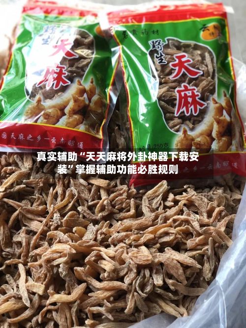 真实辅助“天天麻将外卦神器下载安装”掌握辅助功能必胜规则