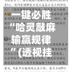 一键必胜“哈灵敲麻输赢规律”(透视挂)详细用法教程