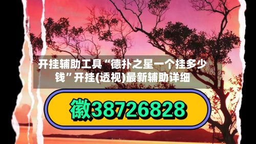 开挂辅助工具“德扑之星一个挂多少钱”开挂(透视)最新辅助详细-第2张图片