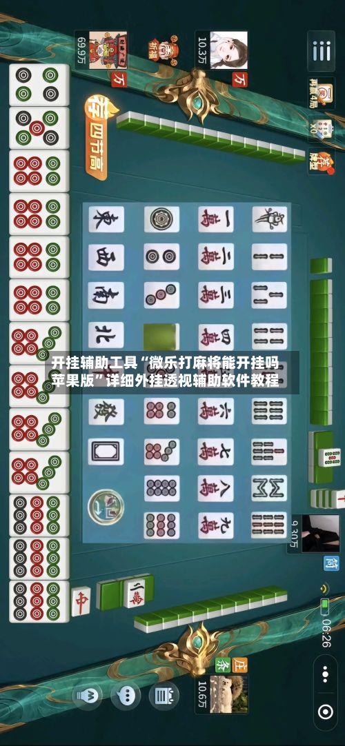 开挂辅助工具“微乐打麻将能开挂吗苹果版	”详细外挂透视辅助软件教程-第2张图片