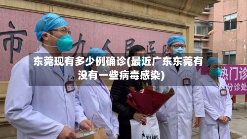 东莞现有多少例确诊(最近广东东莞有没有一些病毒感染)-第2张图片