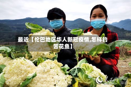 最近【伦巴地区华人新冠疫情,怎样钓苦花鱼】-第3张图片