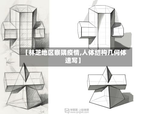 【林芝地区察隅疫情,人体结构几何体速写】-第2张图片