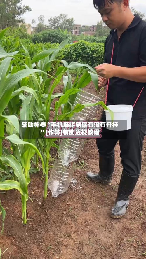 辅助神器“手机麻将到底有没有开挂”(作弊)辅助透视教程-第3张图片