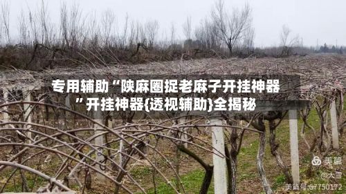 专用辅助“陕麻圈捉老麻子开挂神器”开挂神器{透视辅助}全揭秘-第3张图片