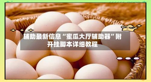 辅助最新信息“蜜瓜大厅辅助器”附开挂脚本详细教程-第3张图片