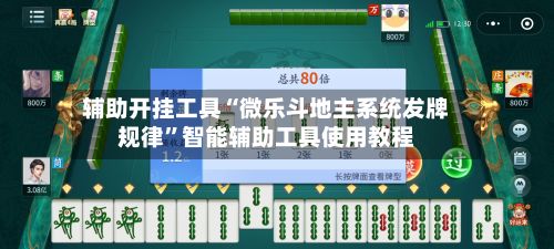辅助开挂工具“微乐斗地主系统发牌规律”智能辅助工具使用教程