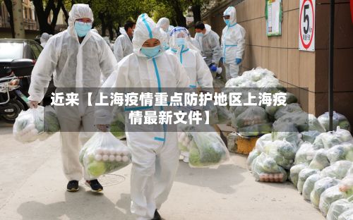 近来【上海疫情重点防护地区上海疫情最新文件】-第2张图片