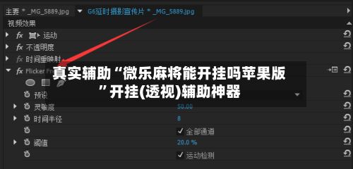 真实辅助“微乐麻将能开挂吗苹果版	”开挂(透视)辅助神器-第2张图片