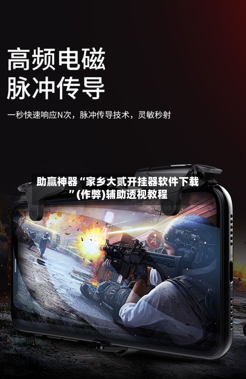 助赢神器“家乡大贰开挂器软件下载”(作弊)辅助透视教程-第3张图片
