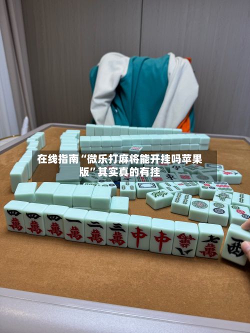 在线指南“微乐打麻将能开挂吗苹果版”其实真的有挂-第2张图片