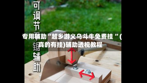 专用辅助“越乡游义乌斗牛免费挂 ”(真的有挂)辅助透视教程-第3张图片