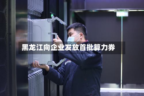 黑龙江向企业发放首批算力券-第2张图片