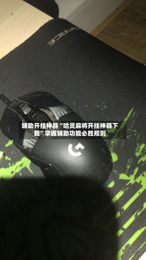辅助开挂神器“哈灵麻将开挂神器下载	”掌握辅助功能必胜规则-第2张图片