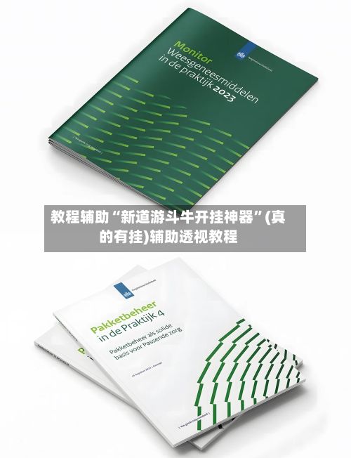 教程辅助“新道游斗牛开挂神器”(真的有挂)辅助透视教程-第2张图片