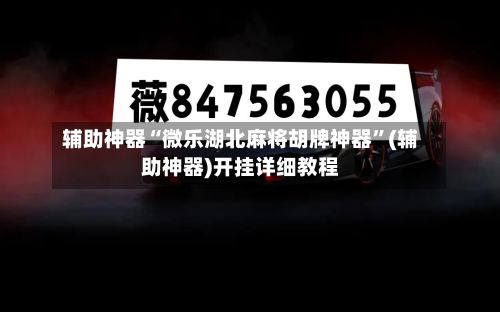 辅助神器“微乐湖北麻将胡牌神器”(辅助神器)开挂详细教程-第2张图片