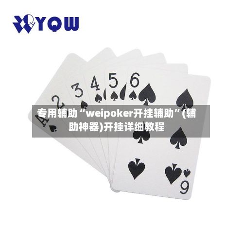 专用辅助“weipoker开挂辅助”(辅助神器)开挂详细教程-第3张图片