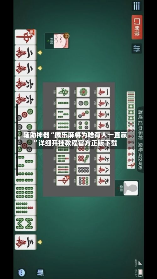 辅助神器“微乐麻将为啥有人一直赢”详细开挂教程官方正版下载-第2张图片