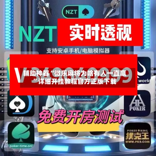 辅助神器“微乐麻将为啥有人一直赢”详细开挂教程官方正版下载-第3张图片