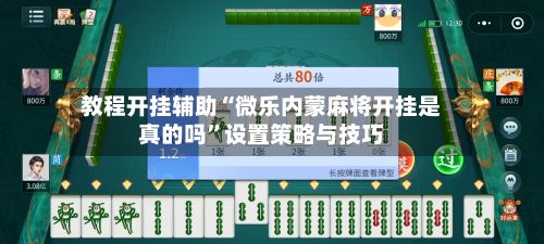 教程开挂辅助“微乐内蒙麻将开挂是真的吗”设置策略与技巧-第3张图片