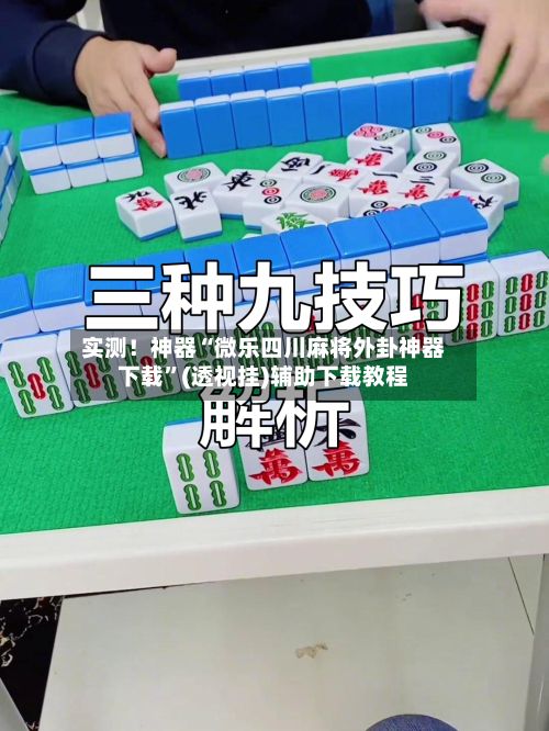 实测！神器“微乐四川麻将外卦神器下载”(透视挂)辅助下载教程-第3张图片
