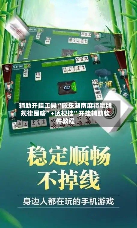辅助开挂工具“微乐湖南麻将赢牌规律是啥”+透视挂”开挂辅助软件教程-第2张图片