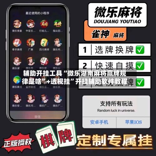 辅助开挂工具“微乐湖南麻将赢牌规律是啥	”+透视挂”开挂辅助软件教程-第3张图片